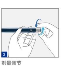 2 剂量调节
